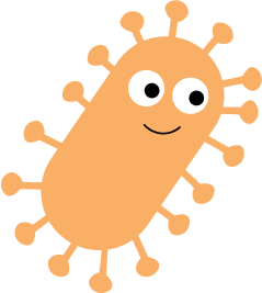 BOBO