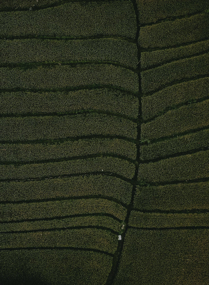 Health goes beyond us