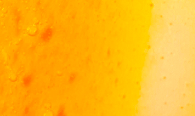 Vitamin B6